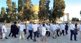 عشرات المستوطنين يقتحمون المسجد الأقصى