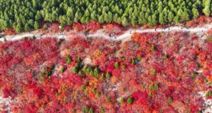 مناظر خريفية في مدينة بشرقي الصين