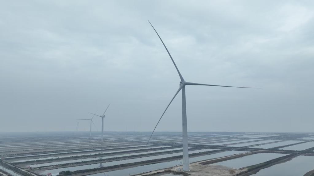 أكبر توربين رياح بحري في العالم ينقل الكهرباء إلى الشبكة في شرقي الصين