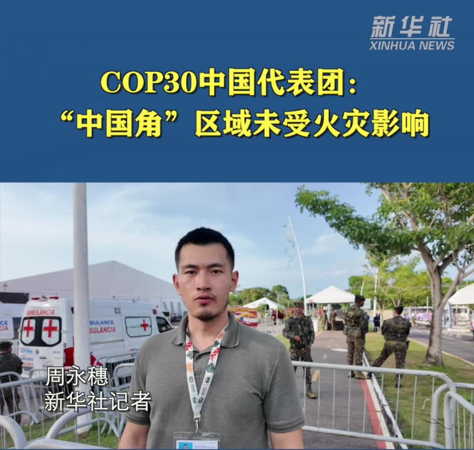 الوفد الصيني: جناحنا لم يتضرر من الحريق في مؤتمر "كوب 30"