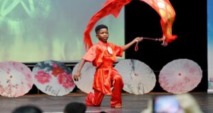 من الآليات الرقمية إلى ألعاب الفيديو… منصات جديدة لدراسة اللغة الصينية وتعزيز التواصل بين الصين والعالم