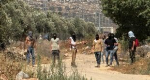 مستوطنون يهاجمون المغير شرق رام الله