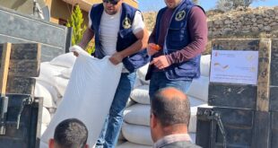 الإغاثة الزراعية تسلّم 15 طنًّا من البذور لتعزيز صمود 125 مزارعًا في مسافر يطا جنوب الخليل