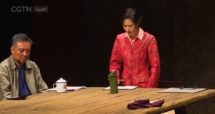 اختتام الدورة الرابعة عشرة من مهرجان الصين للفنون في مدينة تشونغتشينغ