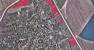 الاحتلال يصدر أمراً عسكرياً بإزالة الأشجار على مساحة 59 دونماً من محافظة جنين