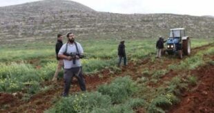 مستوطنون يحرثون أراضي في بلدة سنجل قرب رام الله بهدف الاستيلاء عليها