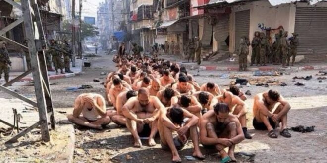 مقررة أممية : الأدلة تظهر تعذيب أسرى من قطاع غزة منذ فبراير عام 2024 وإسرائيل خارج المساءلة