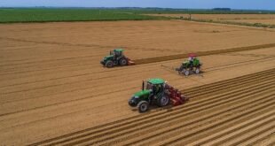 الصين تشهد تحسنا ملحوظا في القدرة على توفير البذور