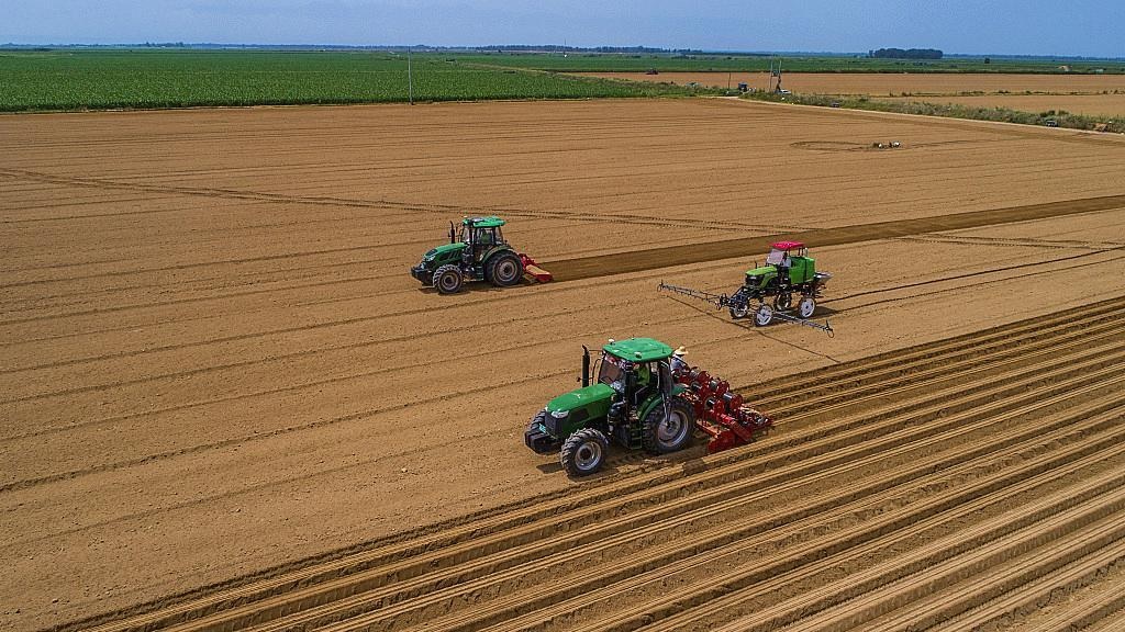 الصين تشهد تحسنا ملحوظا في القدرة على توفير البذور
