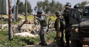 الاحتلال يعتقل 4 مواطنين من نابلس