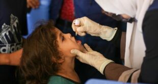 ماجد أبو رمضان