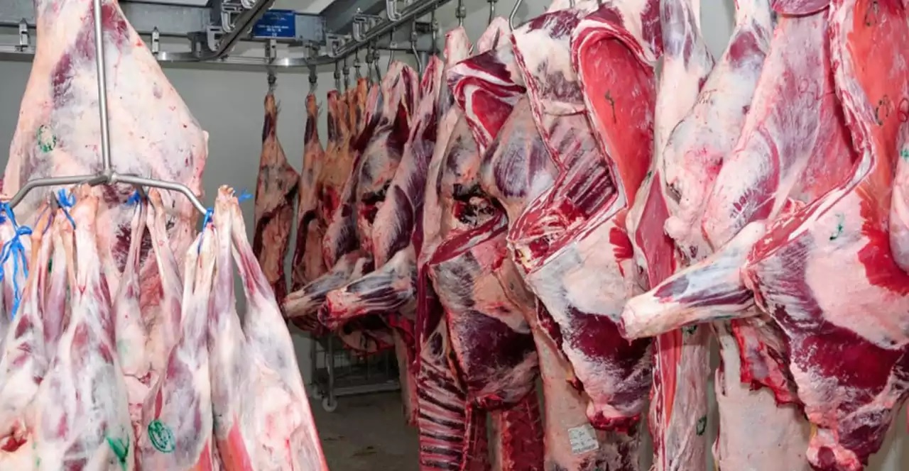 الصين تمدد مرة أخرى فترة التحقيق الوقائي بشأن لحوم البقر المستوردة