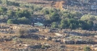 مستوطنون يقيمون بؤرة جديدة جنوبي نابلس