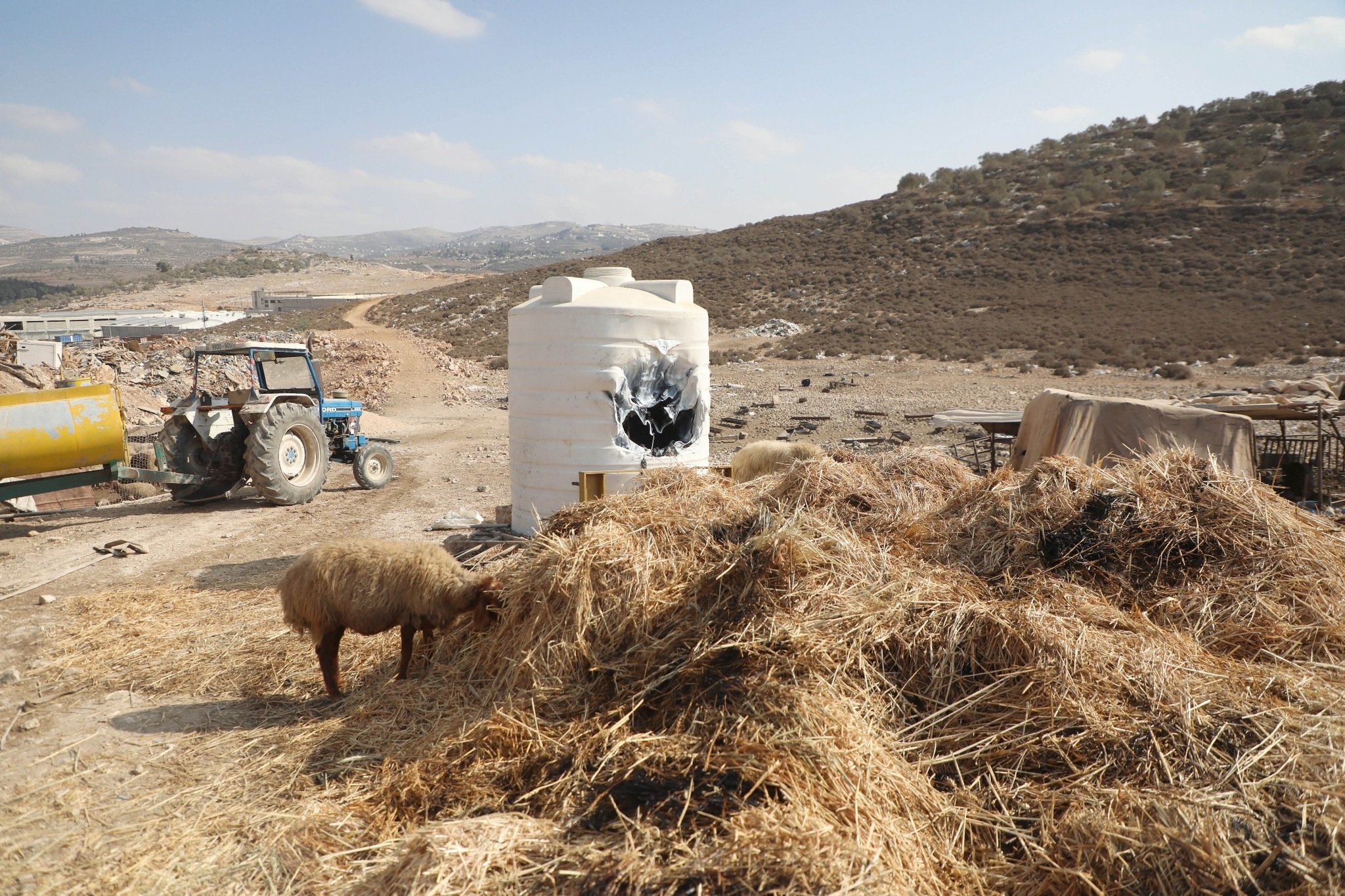 مستوطنون يهاجمون ويسرقون أملاك المواطنين في عطارة شمال رام الله