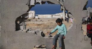 المنظمات الاهلية : حماية اطفال فلسطين مسؤولية المنظومة الاممية وانقاذ حياتهم واجب اخلاقي وانساني