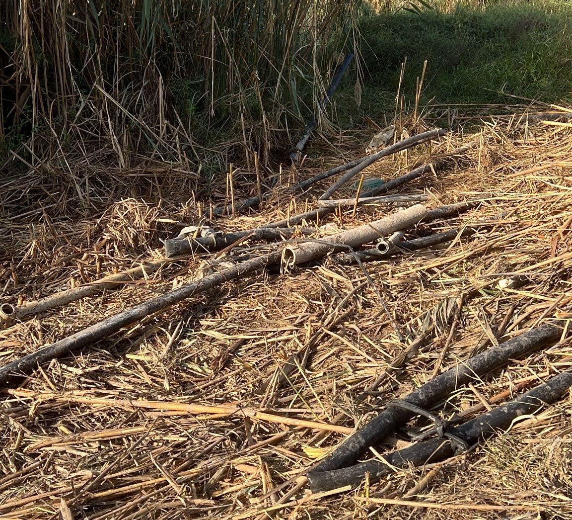 مستوطنون يقطعون خطوط ناقلة للمياه في الأغوار الشمالية