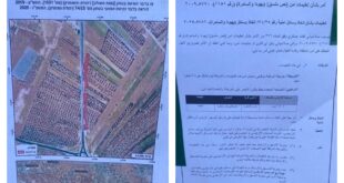 الاحتلال يخطر بإزالة مئات أشجار الزيتون في تقوع جنوب شرق بيت لحم