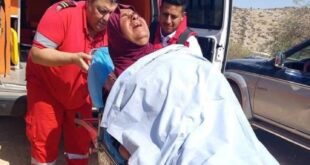 تقرير : إصابة 733 فلسطينياً في هجمات للمستوطنين خلال 2025