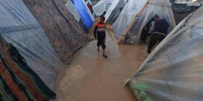 الدفاع المدني يُخلي 14 خيمة بمواصي خان يونس