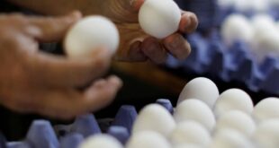 تناول قشر البيض قد يحميك من التجاعيد