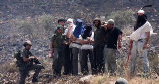 مستوطنون يعتدون على تجمع شكارة جنوب نابلس