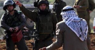 الاحتلال يعتقل مسنا من الأغوار الشمالية