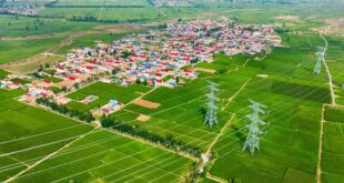 مجموعة الصين للإعلام تصدر قائمة بأهم 10 أخبار لإحياء الريف الصيني خلال عام 2025