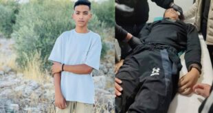 استشهاد طفل برصاص الاحتلال في تقوع جنوب شرق بيت لحم