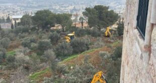 الاحتلال يجرف أراضي ويقتلع عشرات أشجار الزيتون في قريوت جنوب نابلس