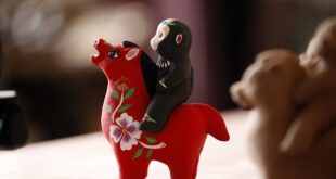 خهبي، خنان: ورثة التراث الثقافي غير المادي ينحتون خيولا بمهارة لاستقبال العام الجديد في الصين