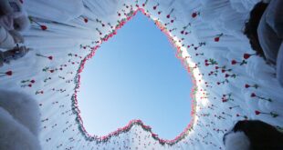 جبل تشانغباي في جيلين شمال شرق الصين : "وردة القلب الجليدي" تتفتح في الشتاء