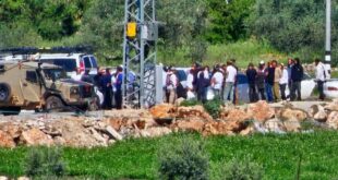 مستوطنون يقتحمون ترمسعيا شمال رام الله ويعتدون على ممتلكات المواطنين