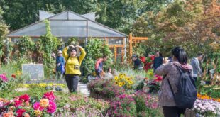 عدد الحدائق في العاصمة الصينية يبلغ 1136