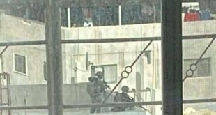 "مستعربون" يقتحمون مخيم الأمعري والاحتلال يدفع بتعزيزات عسكرية