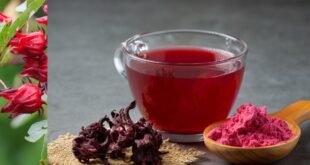 فوائد واضرار الكركديه