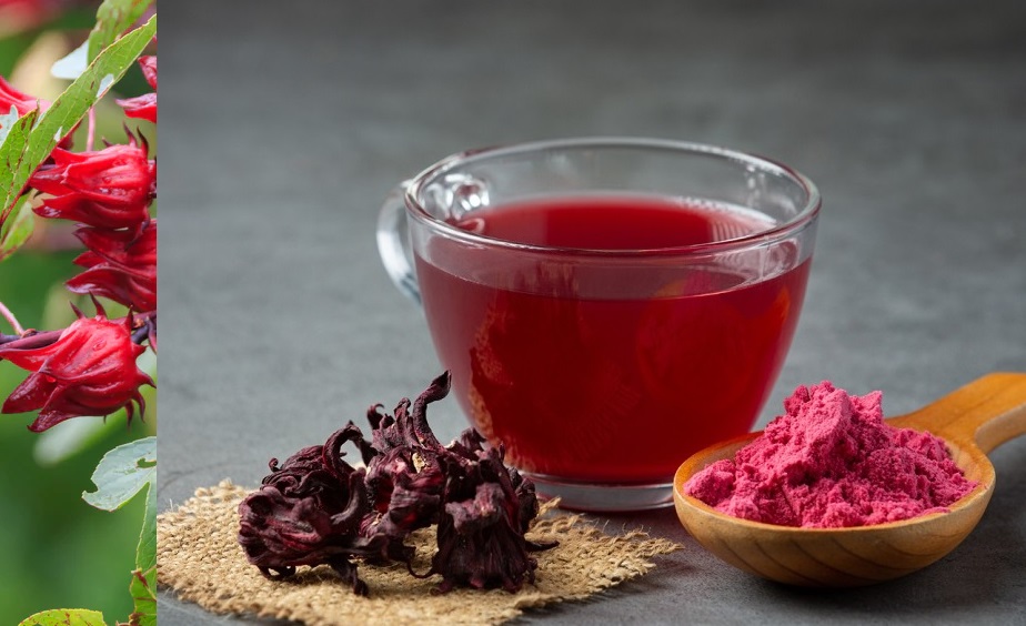 فوائد واضرار الكركديه