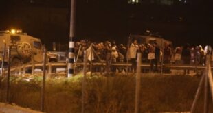 مستوطنون يهاجمون خربة مسعود جنوب غرب جنين