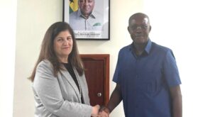 وزيرة الخارجية فارسين أغابكيان شاهين تلتقي النائب الأول لرئيس البرلمان الغاني