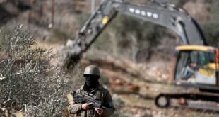 قوات الاحتلال تقتلع عشرات أشجار الزيتون شمال غرب دير بلوط