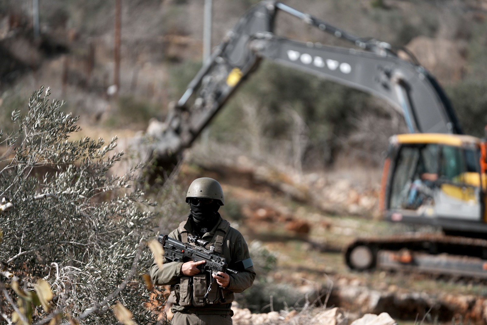 قوات الاحتلال تقتلع عشرات أشجار الزيتون شمال غرب دير بلوط