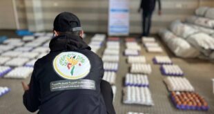 "فلسطين الخيرية" توزع أطباق البيض على نازحي شمال غزة