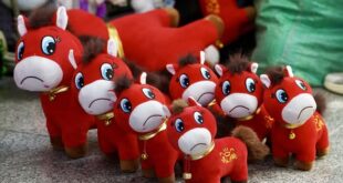 الحصان الباكي .. دمية تجذب سحر الجمهور بشكل غير متوقع