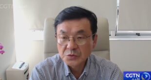 نائب رئيس هيونداي يتحدث عن التعاون بين الصين وجمهورية كوريا في سلسلة إمداد الهيدروجين