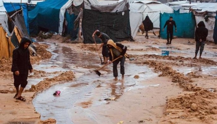 كيف نعيش ونحن ننجو فقط 