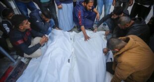 14 شهيدًا و17 إصابة في غزة خلال 24 ساعة