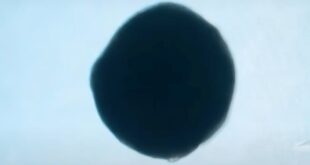 علماء صينيون نجحوا في طباعة قلب صغير ينبض بشكل ذاتي بتقنية الطباعة ثلاثية الأبعاد