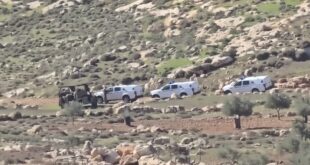 مستوطنون يصعدون اعتداءاتهم على المغير والاحتلال يعتقل متضامنين أجانب