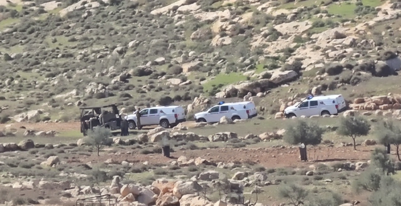 مستوطنون يصعدون اعتداءاتهم على المغير والاحتلال يعتقل متضامنين أجانب