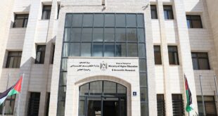 التربية تعلن بدء استقبال طلبات التوظيف للوظائف التعليمية للعام 2027/2026