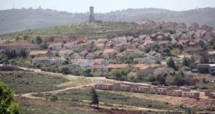 سلطات الاحتلال تصادر مئات الدونمات من أراضي قلقيلية